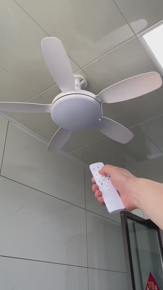 Remote Control Ceiling Fan With LED Lights - Comfort & Lighting in one